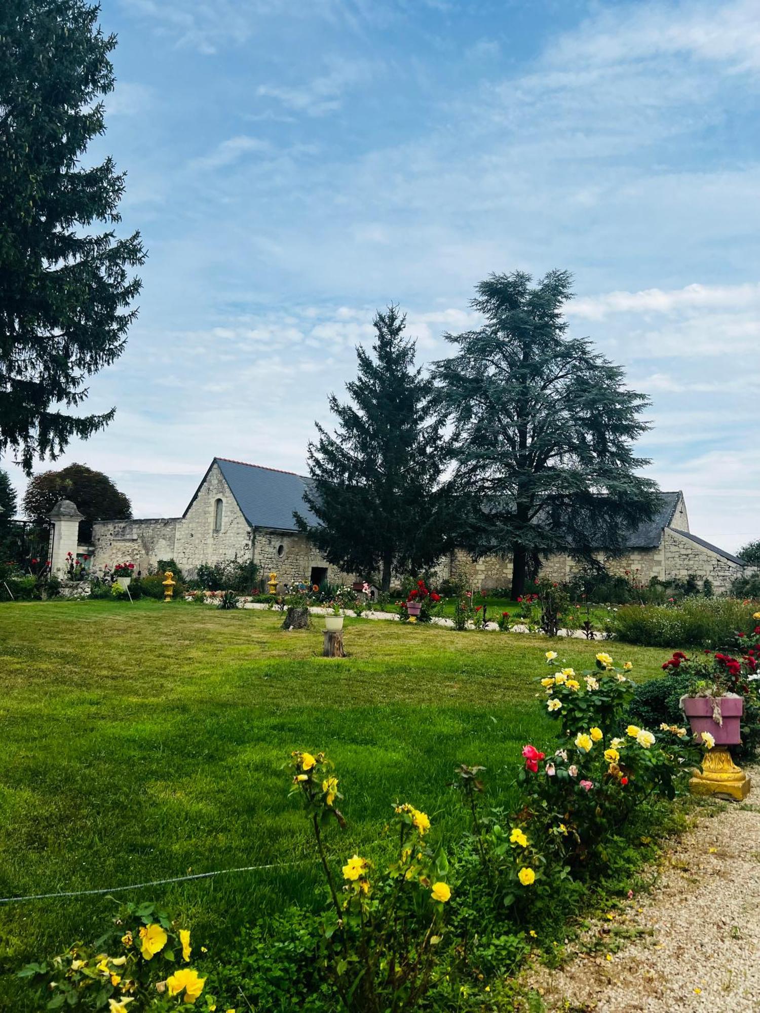 Chateau De La Thibaudiere - Chambre Du Tonneau Allonnes  Exteriér fotografie