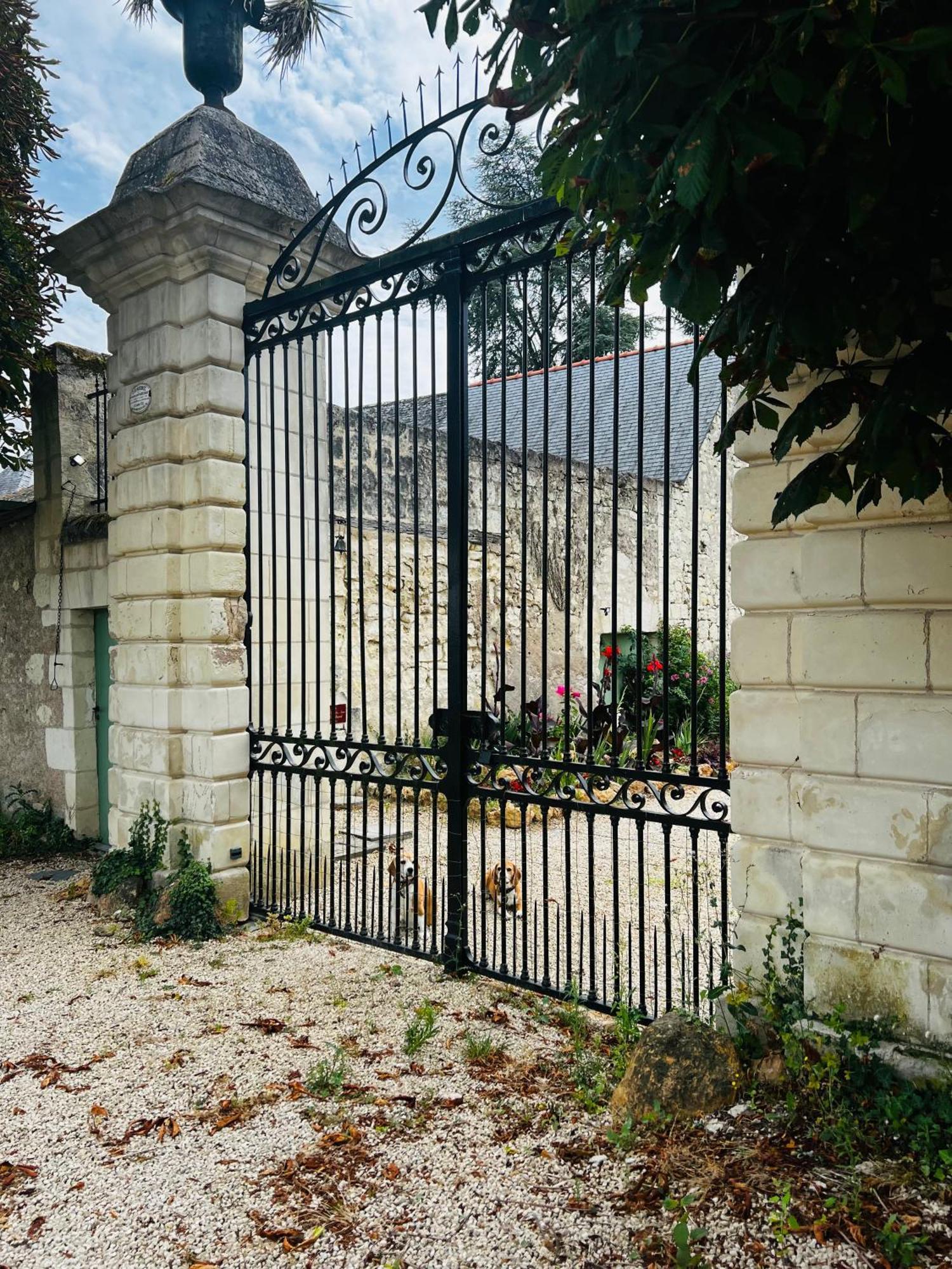 Chateau De La Thibaudiere - Chambre Du Tonneau Allonnes  Exteriér fotografie